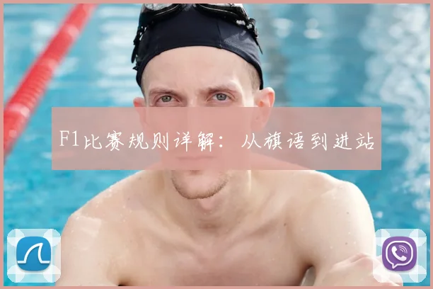 F1比赛规则详解：从旗语到进站